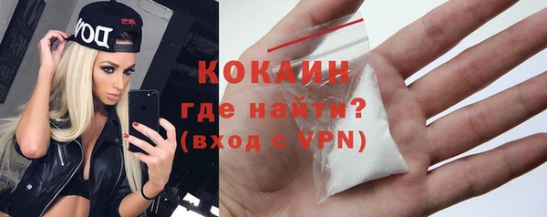 крисы Абаза