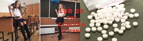 крисы Абаза