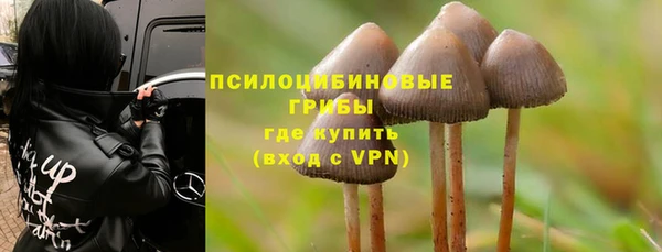 MESCALINE Алзамай