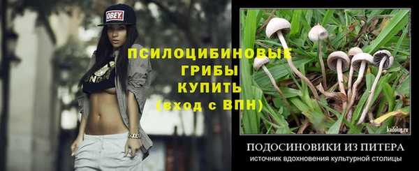 крисы Абаза