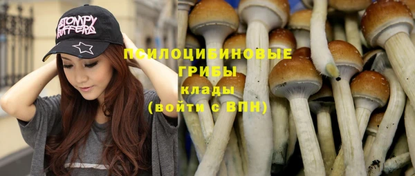 крисы Абаза