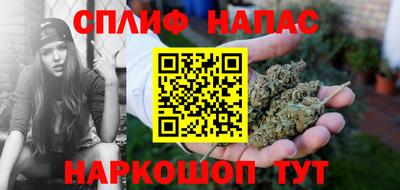 МДПВ Пенза