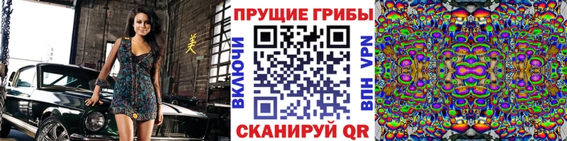 blacksprut как зайти  Копейск  Псилоцибиновые грибы GOLDEN TEACHER 