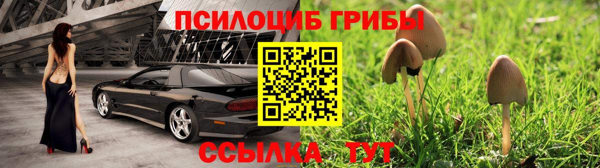 Галлюциногенные грибы ЛСД  Вход с VPN  Копейск 